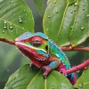 Panther Chameleon Diamond Painting