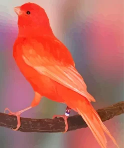 Red Canary Diamond Painting
