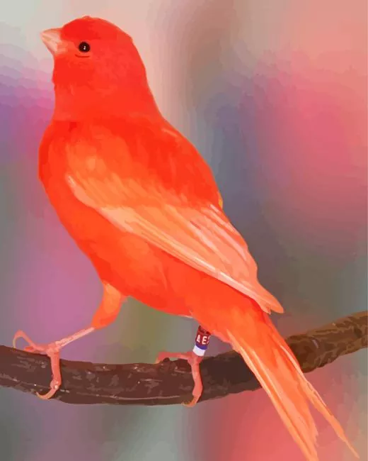 Red Canary Diamond Painting Red Canary Diamond Painting