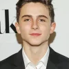 Timothee Chalamet Diamond Painting