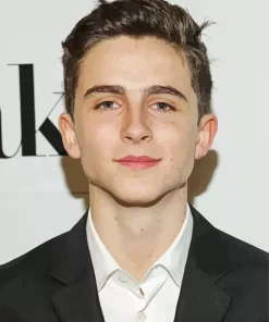 Timothee Chalamet Diamond Painting