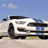 White and Blue Mustang Diamond Painting