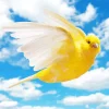 Yellow Canary Diamond Painting