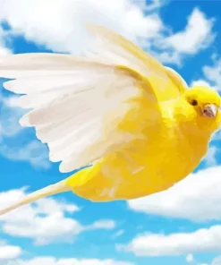 Yellow Canary Diamond Painting