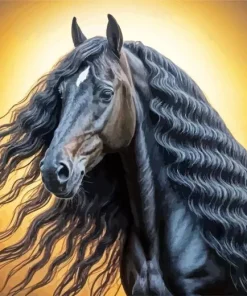 Aesthetic Friesian Horse Diamond Painting