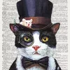 Black Classy Cat Diamond Painting