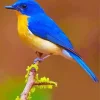 Blue and Yellow Bird Diamond Painting