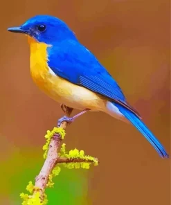 Blue and Yellow Bird Diamond Painting
