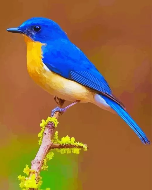 Blue and Yellow Bird Diamond Painting Blue and Yellow Bird Diamond Painting