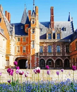 Chateau de Maintenon Diamond Painting