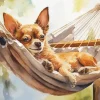 Chihuahua on Hammock Diamond Painting