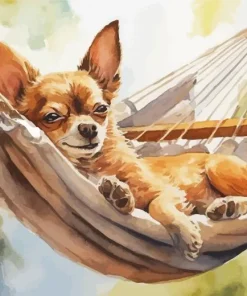 Chihuahua on Hammock Diamond Painting