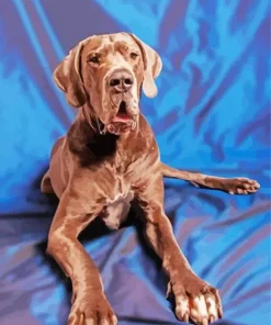 Chocolate Brindle Great Dane Diamond Painting