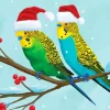 Christmas Parakeets Diamond Painting
