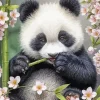 Chubby Panda Diamond Painting