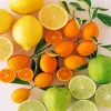 Citrus Fruit Diamond Painting