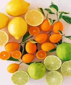 Citrus Fruit Diamond Painting