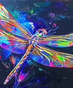 Colorful Dragonfly Wings Diamond Painting