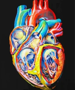 Colorful Human Heart Diamond Painting