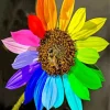 Colorful Sunflower Diamond Painting