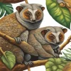 Colugos Art Diamond Painting