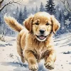 Golden Retriever in Snow Diamond Painting