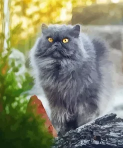 Grey Smoked Cat Diamond Painting
