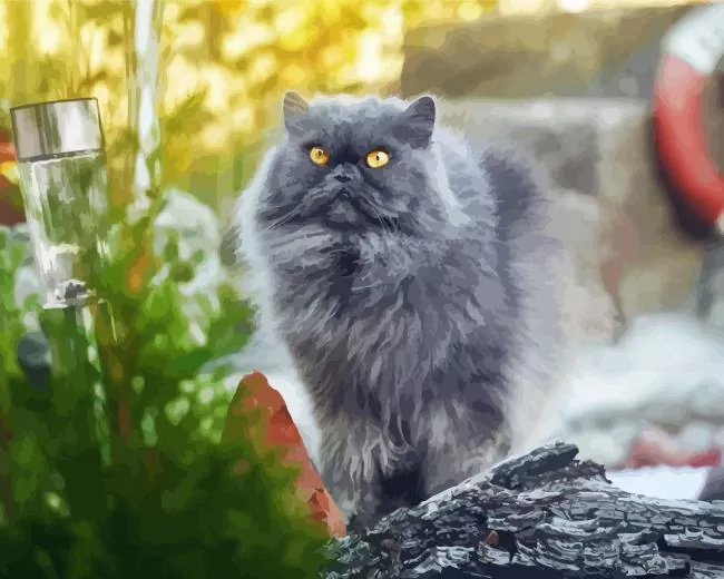 Grey Smoked Cat Diamond Painting Grey Smoked Cat Diamond Painting