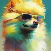 Pomeranian with Sunglasses Diamond Painting