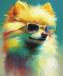 Pomeranian with Sunglasses Diamond Painting