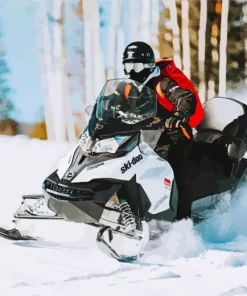 Snowmobile Rider Diamond Painting