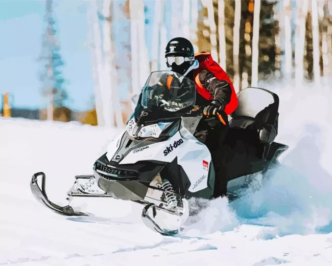 Snowmobile Rider Diamond Painting Snowmobile Rider Diamond Painting