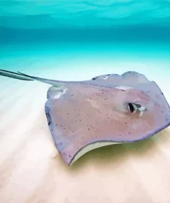 Stingray Art Diamond Painting