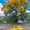 Yellow Classic Car Diamond Painting