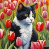 Cat in Tulips Field Diamond Painting