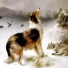 Collie and Lamb Diamond Painting
