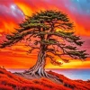 Cypress Tree at Sunset Diamond Painting