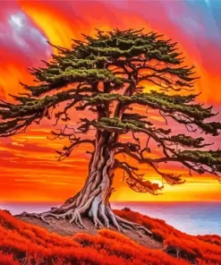 Cypress Tree at Sunset Diamond Painting