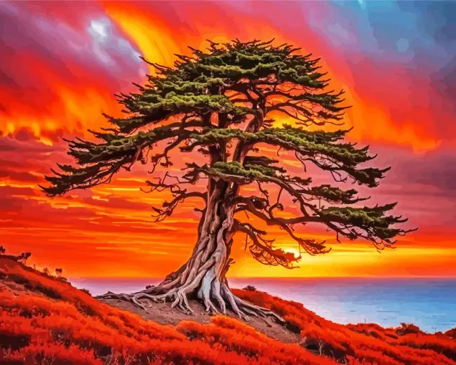 Cypress Tree at Sunset Diamond Painting Cypress Tree at Sunset Diamond Painting