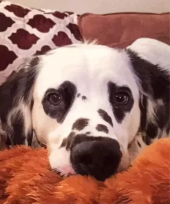 Dalmatian with Heart Eyes Diamond Painting