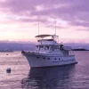 Defever 49 Boat Diamond Painting