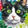 Splash Tuxedo Cat Diamond Painting