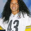 Troy Polamalu Diamond Painting