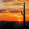 Tucson Arizona at Sunset Diamond Painting