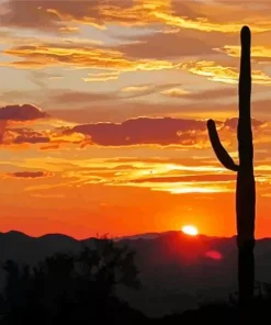 Tucson Arizona at Sunset Diamond Painting