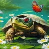 Turtle and Butterfly Diamond Painting
