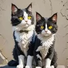 Tuxedo Cats Diamond Painting