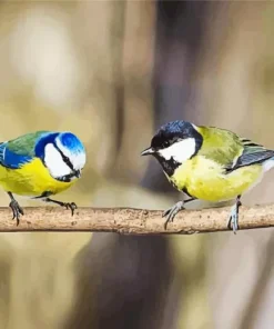 Two Tit Birds on Stick Diamond Painting