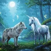 Unicorn and Wolf Diamond Painting