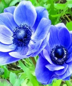 Blue Anemone Diamond Painting